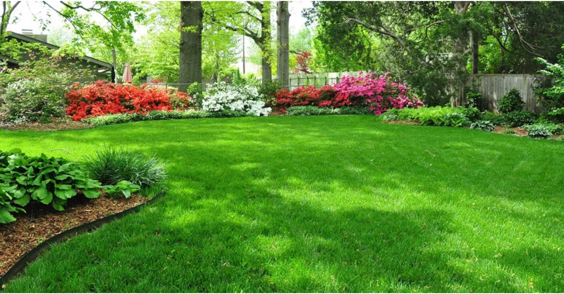 Why Choose Synthetic Turf Over Natural Grass?