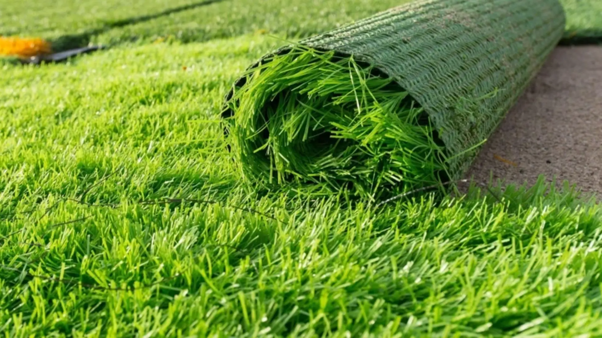 Artificial Grass Product Varieties