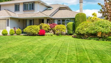 Custom Artificial Lawns Dallas TX