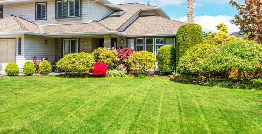Custom Artificial Lawns Dallas TX