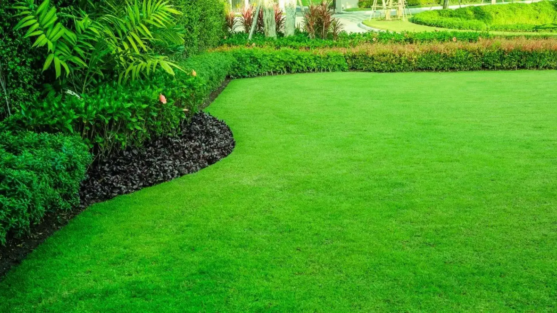 Maintenance-Free Lawn Alternatives