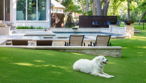 Pet Friendly Artificial Grass Dallas TX