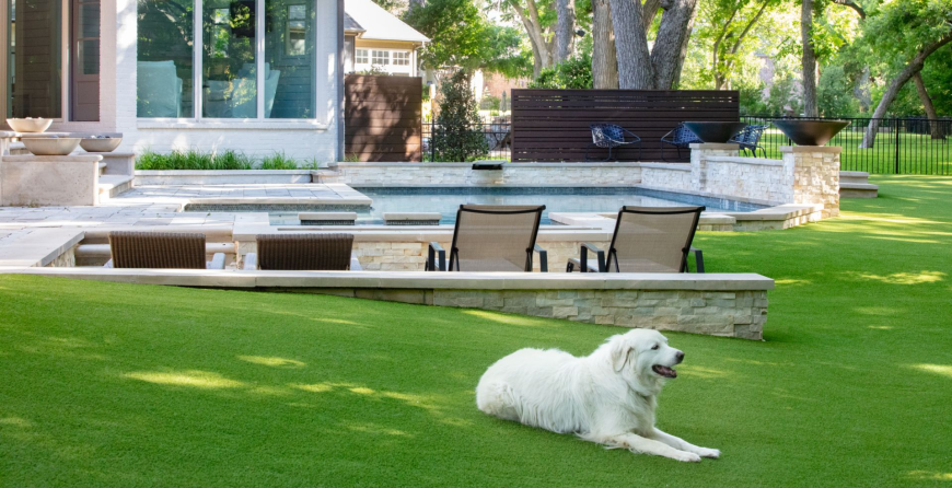Pet Friendly Artificial Grass Dallas TX