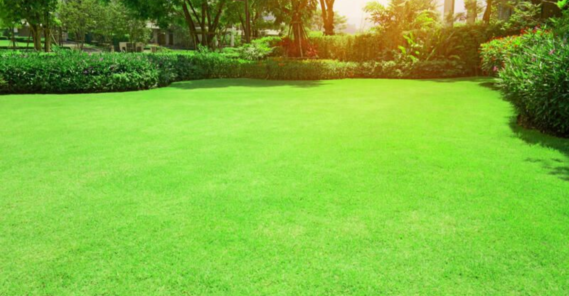 Can Artificial Turf Elevate Property Value?