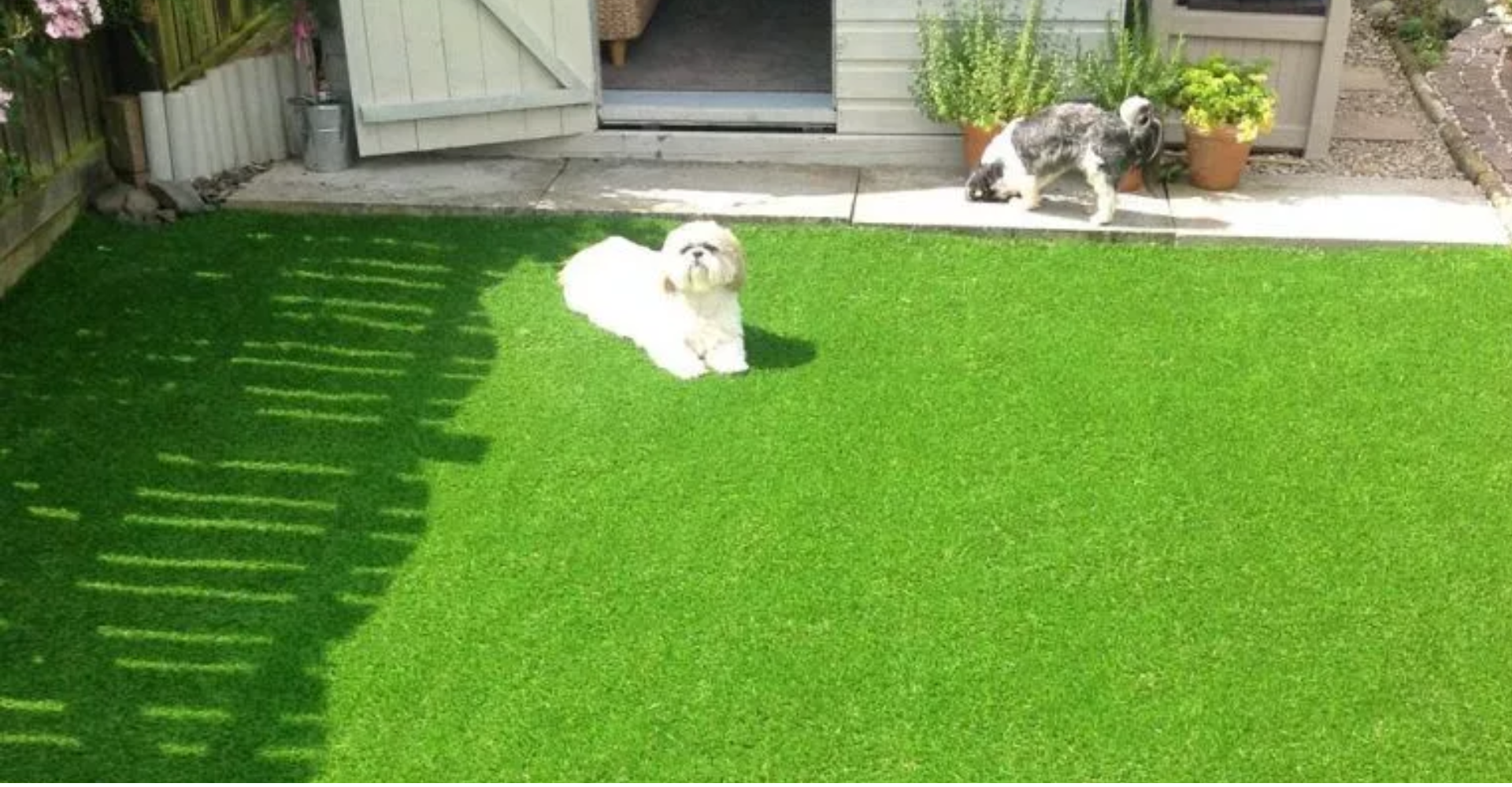 What Are the Benefits of Artificial Grass for Pet Owners?