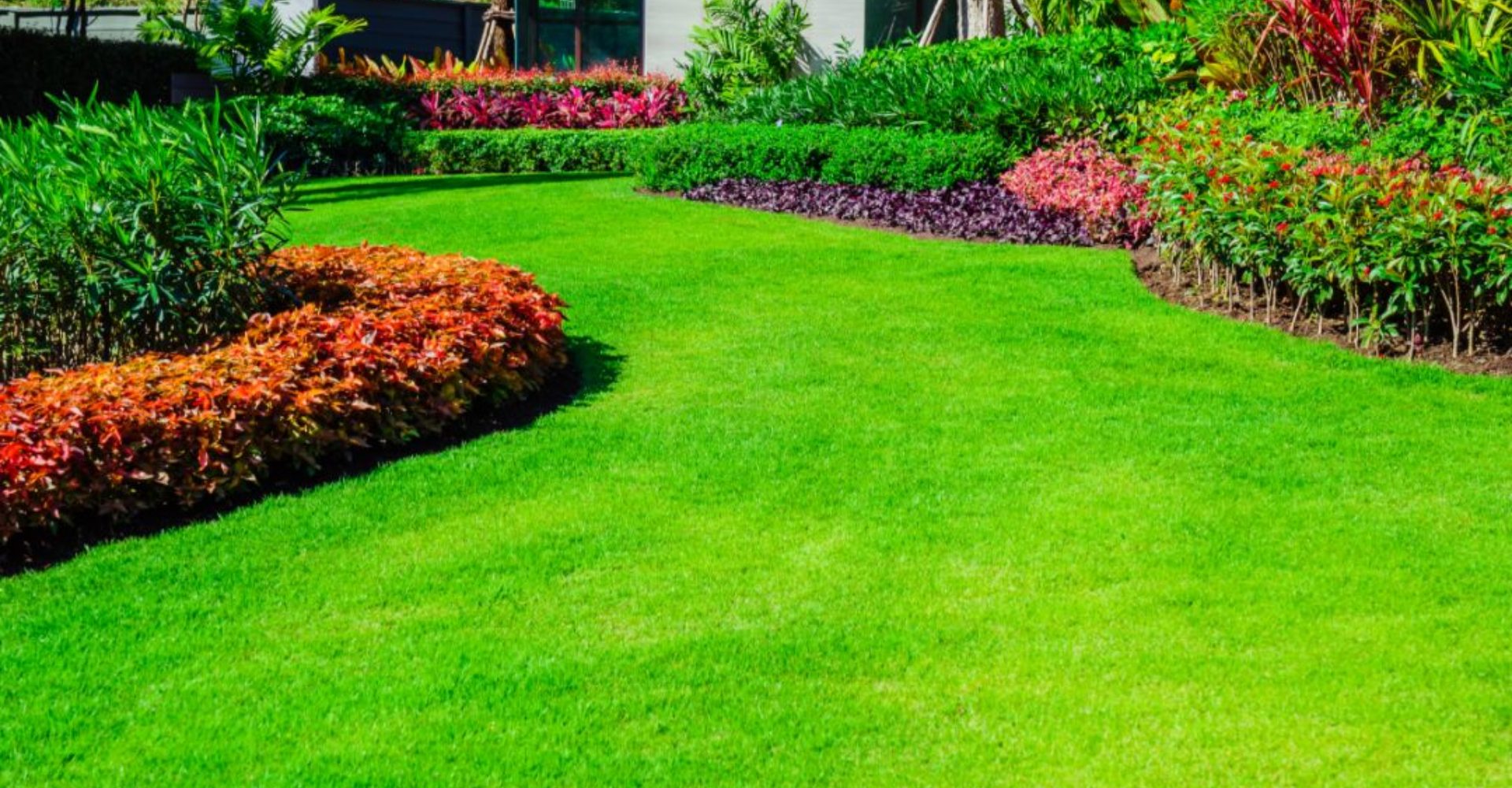 How Installing Artificial Grass Creates Pet-Friendly Outdoor Spaces